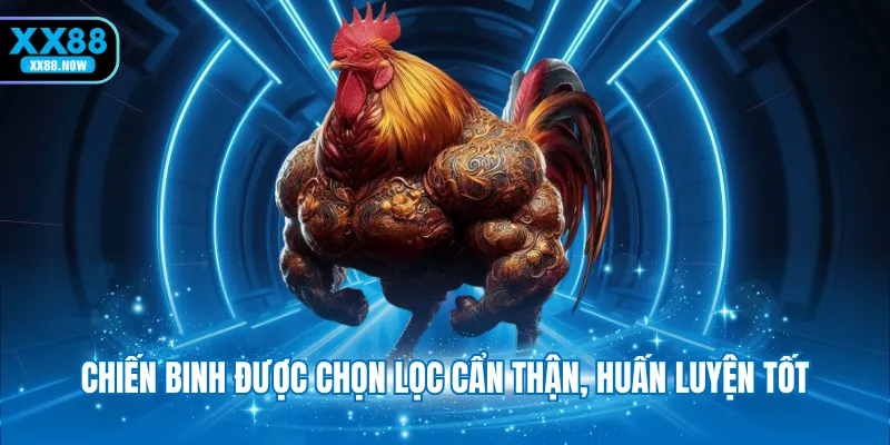 Chiến binh được chọn lọc cẩn thận, huấn luyện tốt