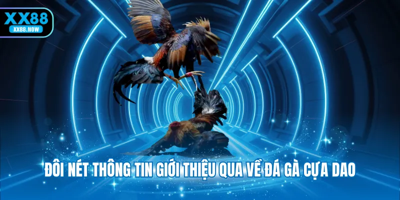 Đôi nét thông tin giới thiệu qua về đá gà cựa dao