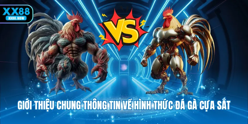 Giới thiệu chung thông tin về hình thức đá gà cựa sắt