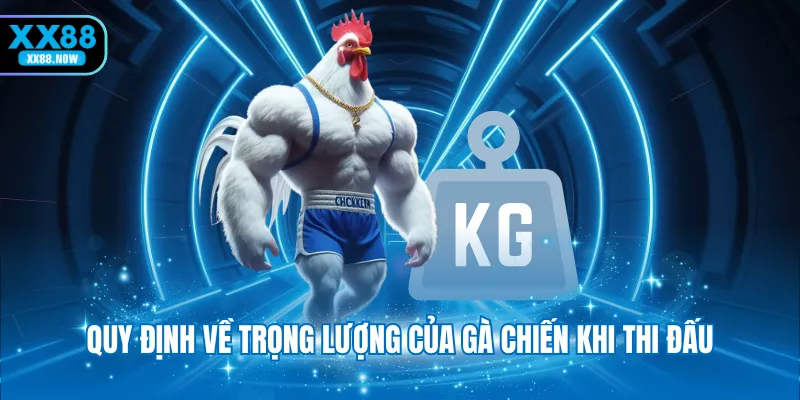Quy định về trọng lượng của gà chiến khi thi đấu