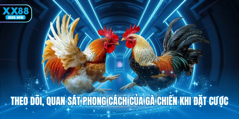 Theo dõi, quan sát phong cách của gà chiến khi đặt cược