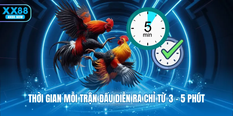 Thời gian mỗi trận đấu diễn ra chỉ từ 3 - 5 phút