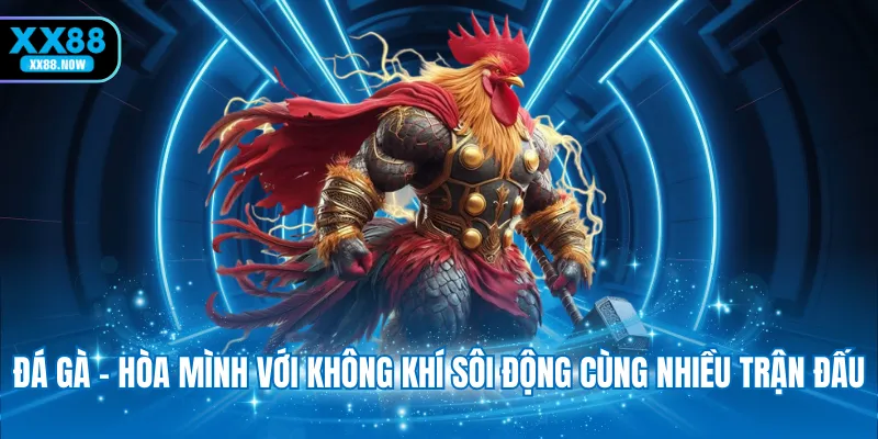 Đá gà - Hòa mình với không khí sôi động cùng nhiều trận đấu