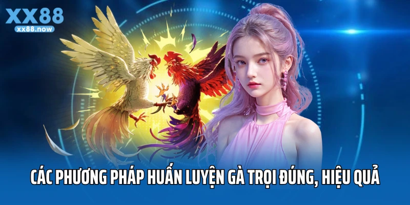 Các phương pháp trong cách huấn luyện gà trọi đúng, hiệu quả