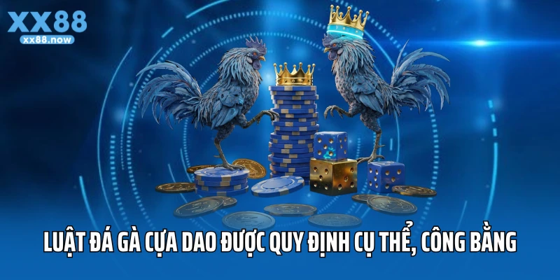 Luật đá gà cựa dao 2025 được quy định cụ thể, công bằng