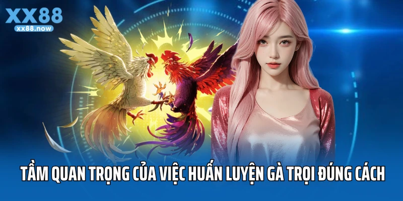 Tầm quan trọng của cách huấn luyện gà trọi đúng